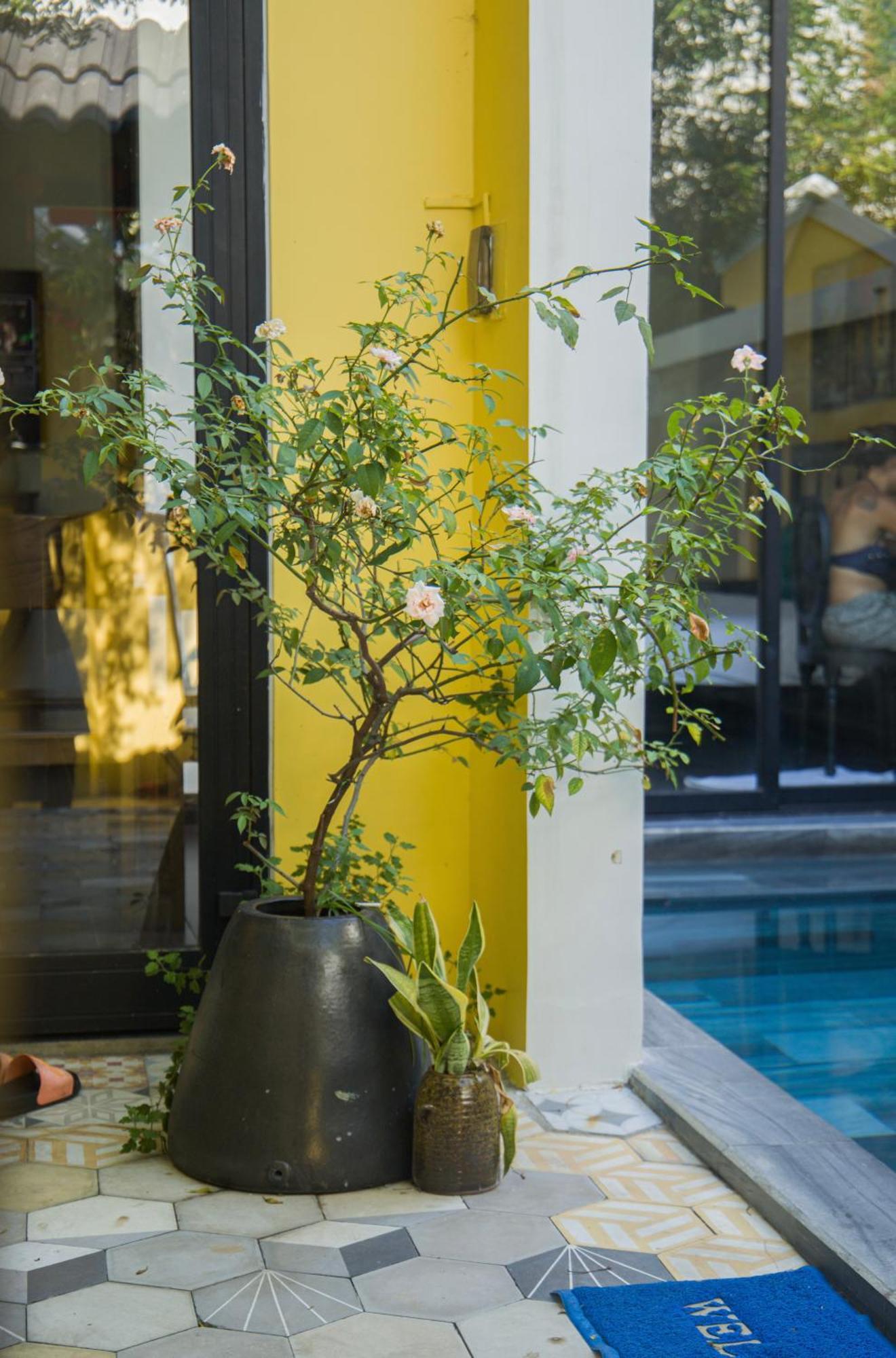 Hoi An 2Br Private Pool Villa - Walk To Old Town Eksteriør billede
