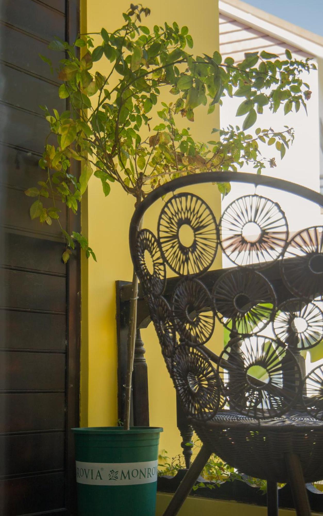 Hoi An 2Br Private Pool Villa - Walk To Old Town Eksteriør billede