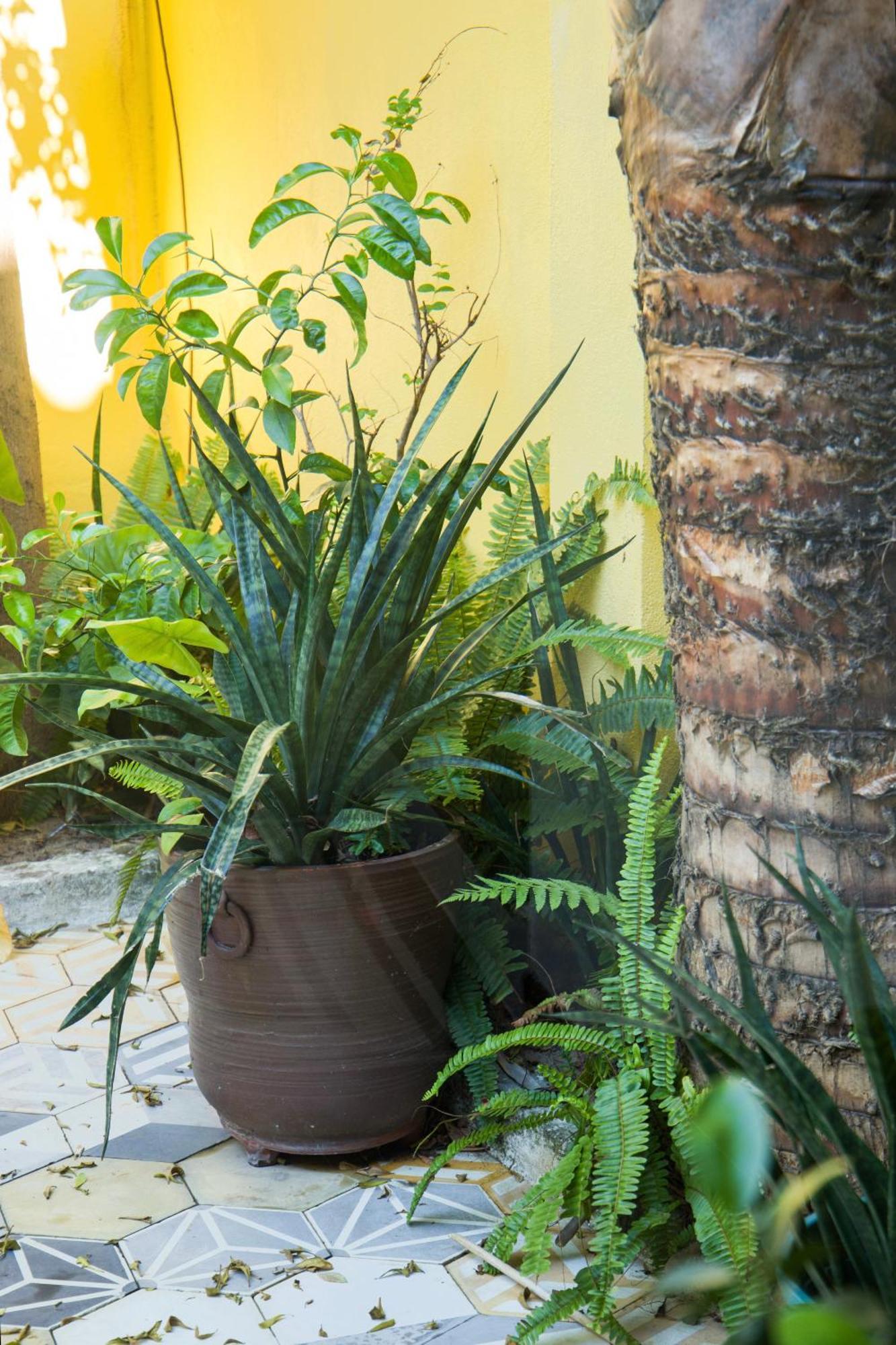 Hoi An 2Br Private Pool Villa - Walk To Old Town Eksteriør billede